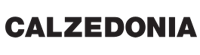 Logo Calzedonia.com