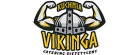 Logo Kuchniavikinga.pl