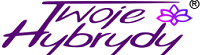 Logo Twojehybrydy.pl